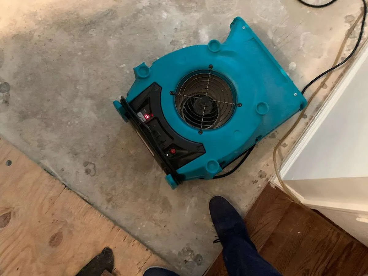 Air mover drying subfloor during Commercial Water Damage Restoration in Murray